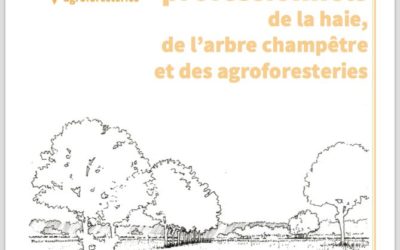 Nouveau dépliant Afac-Agroforesteries