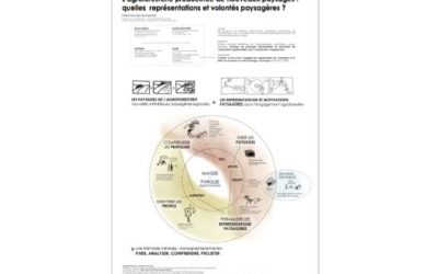 Thèse sur “l’agroforesterie et ses nouveaux paysages produits”