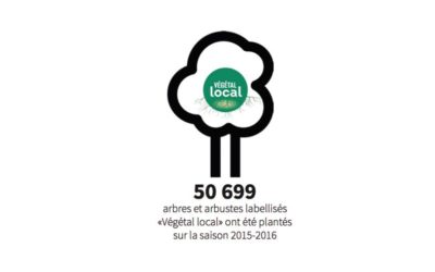 50 000 arbres “Végétal local” ont été plantés !