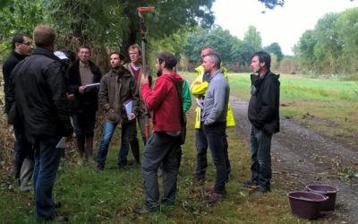 Atelier technique « Végétal local », récolte et préparation des graines en Pays de la Loire