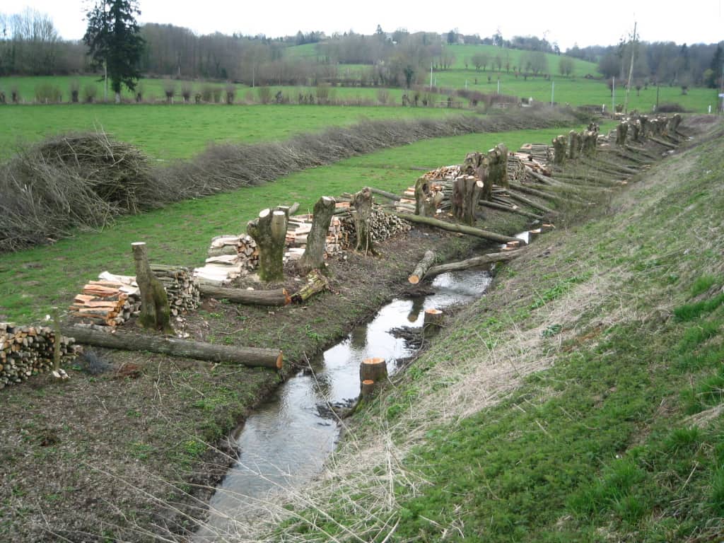 bois d'oeuvre, bois buche, bois déchiqueté (2)