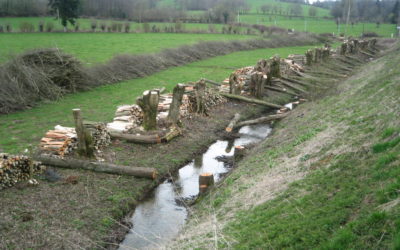 Journée de formation annuelle sur la gestion durable du bocage -l’Afac-Agroforesteries