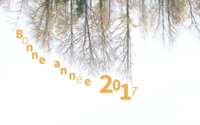 Bonne année 2017 !