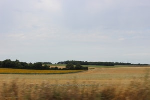 IMG_1204