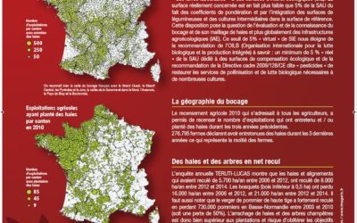 Poster sur la situation du bocage national