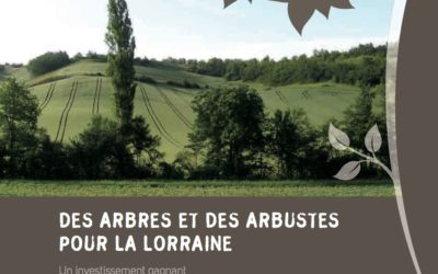 Guides des arbres et des haies du PNR de Lorraine