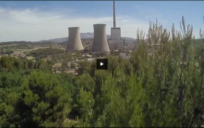 Reportage “Menaces sur la forêt française”