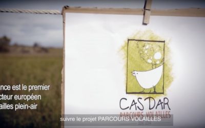 Vidéo du projet CASDAR parcours volailles