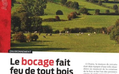 Alternatives-Économiques publie un article sur la SCIC Bois Bocage Energie