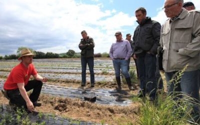 Journée de lancement de la filière arbres et arbustes certifiés “Végétal local” dans le Nord-Pas de Calais