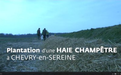 Animation-plantation à Chevry-en-Sereine le 24 novembre 2015