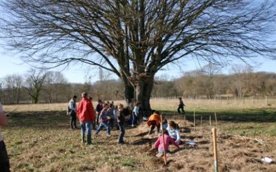 Animation-plantation à Rivarennes le 9 mars 2016