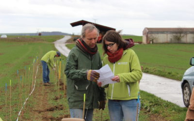 Animation-plantation à Saessolsheim le 2 mars 2016