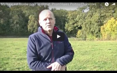 Vidéo de témoignages “ma haie est bonne pour le climat” !