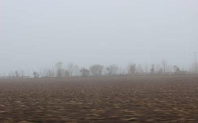 Les haies s’invitent à la COP 21