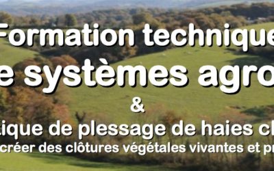 Formation technique sur la gestion de systèmes agroforestiers – Paysage de Mares Haies d’Arbres