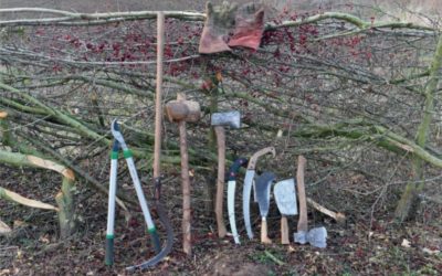 Formation technique plessage de haies champêtres (Pyrénées-Atlantiques, 64)