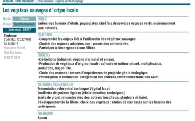 Formation sur les végétaux sauvages d’origine locale – septembre 2017 à Toulouse