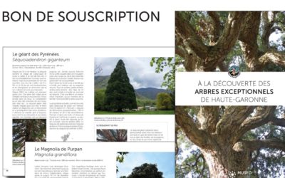 “À la découverte des Arbres Exceptionnels de Haute-Garonne”