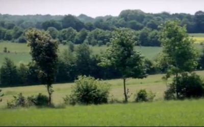 Journées d’échanges “Agroforesteries et grandes cultures”