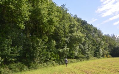 Nouvelle liste des conseillers agroforestiers et techniciens bocage agréés BCAE7