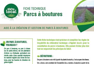 Fiche technique Parcs à boutures