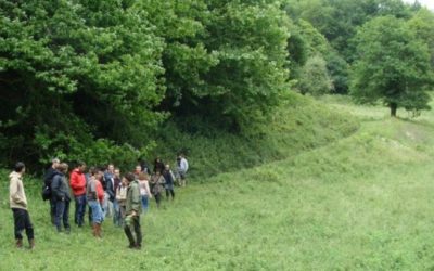 Formation sur la gestion des éléments arborés et autres surfaces d’intérêts écologiques