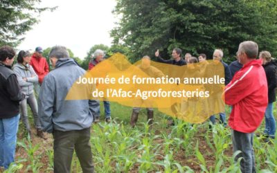 Journée de formation et d’échanges techniques – Afac-Agroforesteries