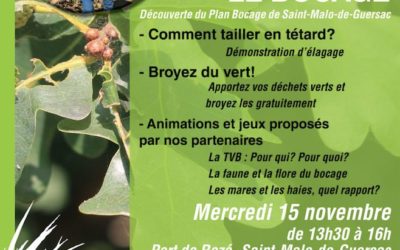 Sortons dans le bocage  – 15 novembre 2017