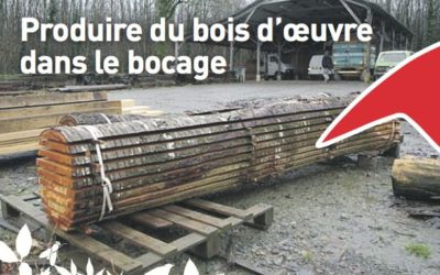 Produire du bois d’oeuvre dans le bocage – 30 novembre 2017