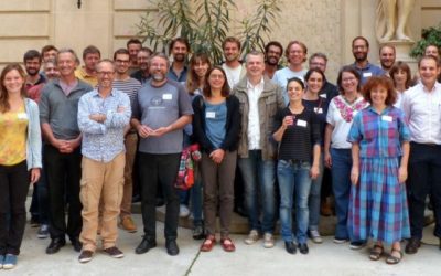 Actes du colloque “Croisons les regards #2” – RMT AgroforesterieS