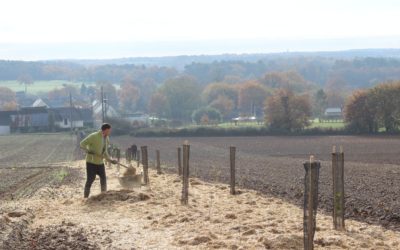 Animation-plantation sur les parcelles de la Gacilly avec la Fondation Yves Rocher