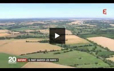 Reportage “Il faut sauver les haies !” au JT de 20h sur France 2