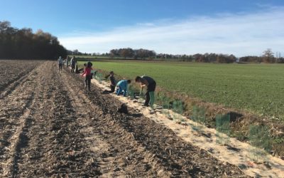 + 200 000  arbres pour la saison 2017-2018 du programme “Plantons 3 millions d’arbres en France”