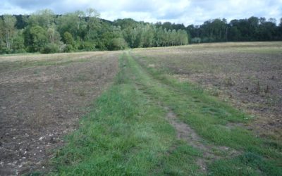 Plantation de haies champêtres autour du village de Flagy – en Seine-et-Marne – avec la Fondation Yves Rocher