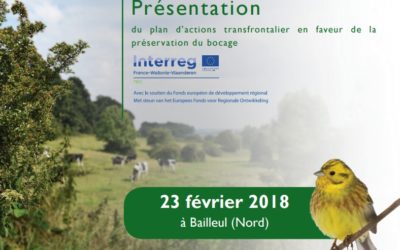 Présentation du plan d’actions transfrontalier en faveur de la préservation du bocage à Bailleul