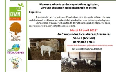 Biomasse arborée sur les exploitations agricoles, vers une utilisation autoconsommée en litière