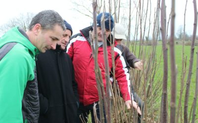 1er comité de suivi national du label bois bocager géré durablement