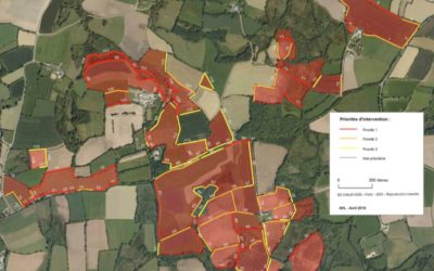 Vers un outil plan de gestion des haies national