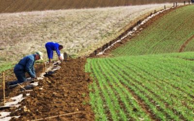 Lancement de l’appel à projets “Plantons en France – en route vers les 5 millions” avec la Fondation Yves Rocher