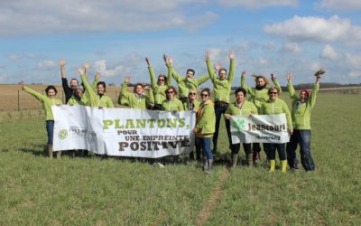 Plantation de haies pour un parcours à volailles près d’Amiens