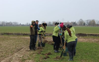 Plantation de haies dans une nouvelle parcelle maraîchère – Plateau de Saclay