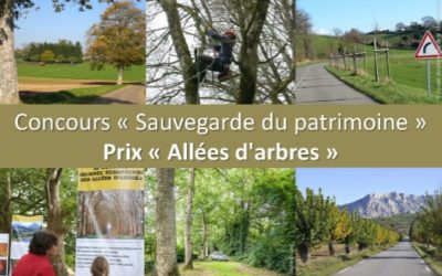 Concours pour la préservation des allées d’arbres