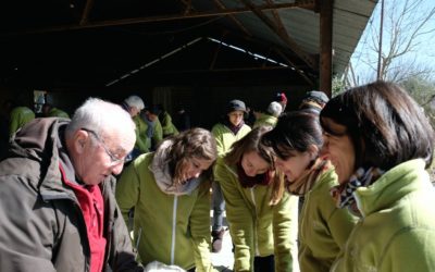 Greffage de variétés fruitières anciennes à Thuré – Vienne