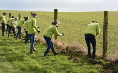 Plantation chez un agriculteur des Flandres au Mont des Cats