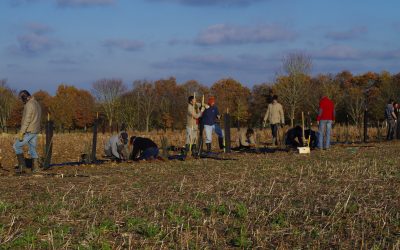 Les lauréats du programme “Plantons en France- En route vers les 5 millions” – saison 2018-2019