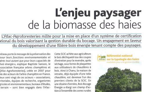 biomasse-article