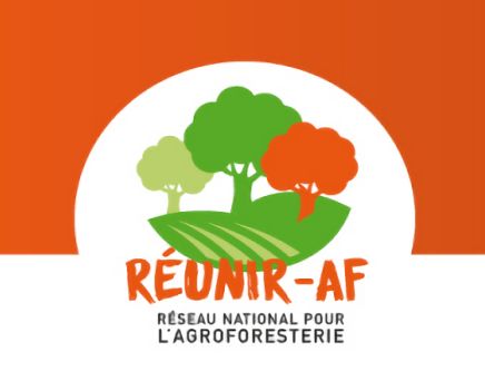 reunir-af-logo