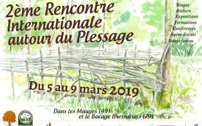 2e Rencontre internationale du plessage – 5 au 9 mars