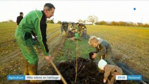 agroforesterie azé